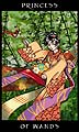 The Princess of Wands